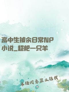 高中生被汆日常NP 小说